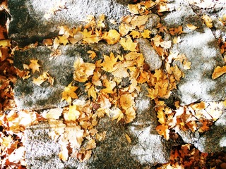 DSCN3393_