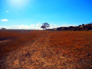 DSCN3488_