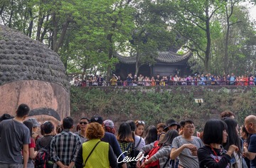 CAI_8104
