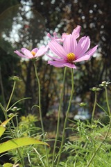 IMG_2518.JPG