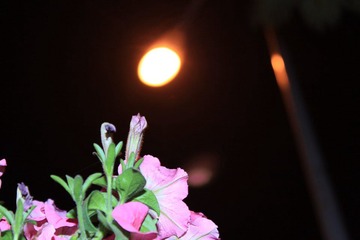 IMG_2797.JPG