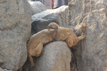 IMG_4394.JPG