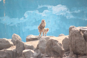 IMG_4396.JPG