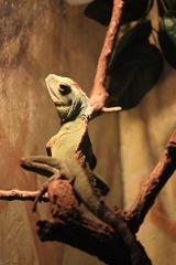 IMG_4409.JPG