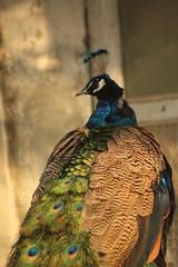 IMG_4464.JPG