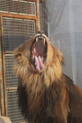 IMG_4541.JPG