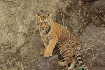 IMG_4551.JPG