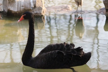 IMG_4574.JPG
