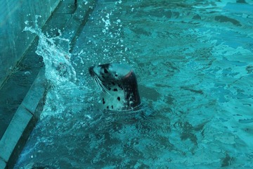 IMG_4604.JPG
