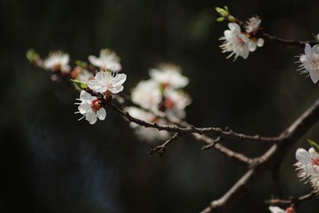 IMG_5580.JPG