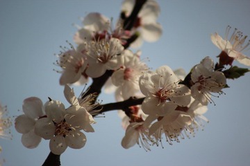 IMG_5581.JPG