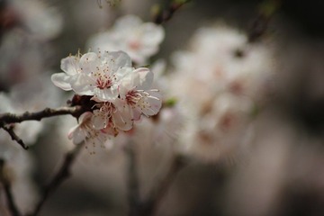 IMG_5582.JPG