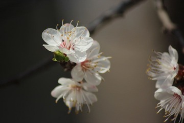 IMG_5584.JPG