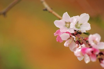 IMG_5829.JPG