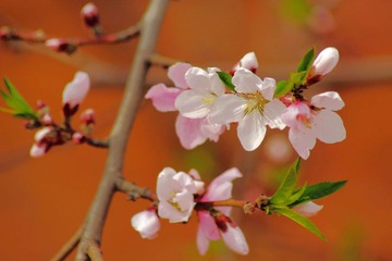 IMG_5830.JPG