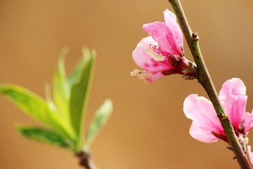 IMG_5914.JPG
