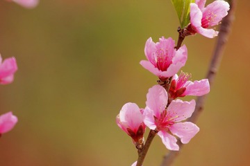 IMG_5915.JPG