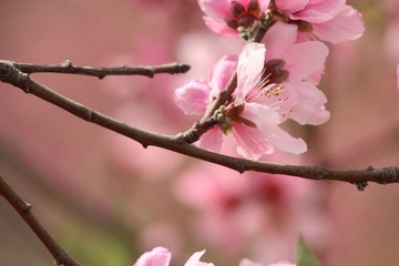 IMG_5916.JPG