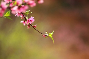 IMG_5938.JPG