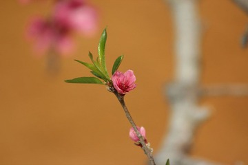 IMG_5946.JPG