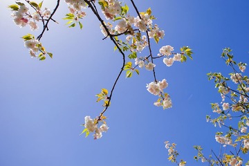 075235bwkvbp9a2w0k0f59.jpg