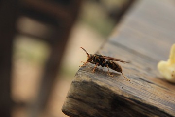 IMG_5148.JPG