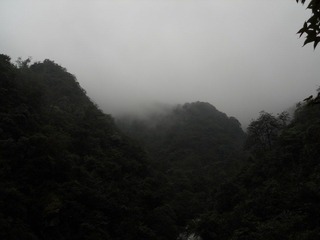DSCN4650.JPG