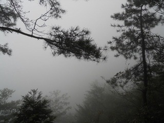 DSCN4656.JPG
