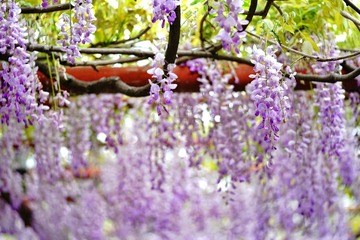 DSC01457-01