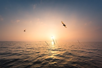 _S6A0955-13