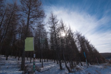 IMG_0989-1