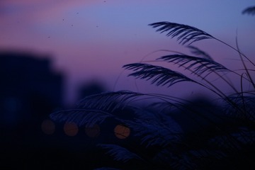 B4489E14-D7A9-4A90-BF01-6228E17031FF/L0/001