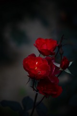 27D3F78C-DD3F-445C-AB0B-D416A202A487/L0/001