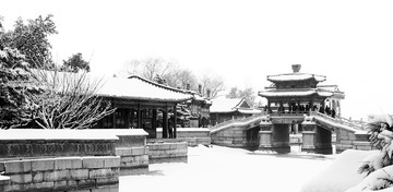 P1010788_