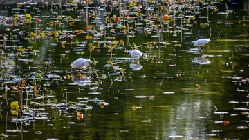 DFW_4755