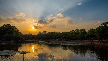 DFW_4824