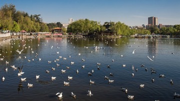 DFW_3516