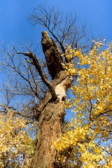 DFW_7287