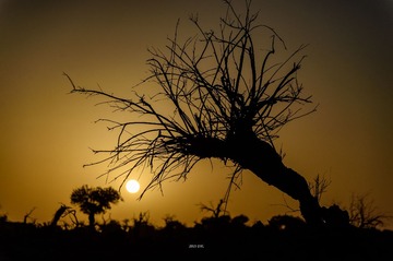 DFW_6975