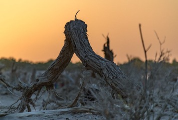 DFW_6996