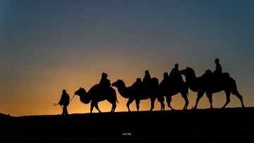 DFW_7605