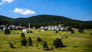 DFA_2386