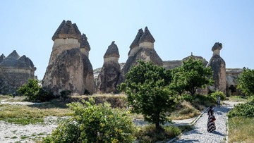 DFA_3314