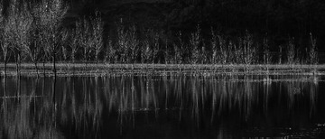 DSC_6365_LR-nx