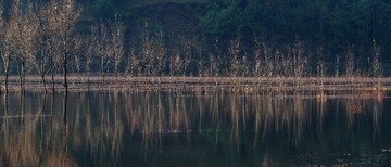 DSC_6365_LR