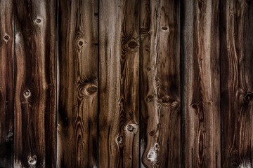DSC_1113-LR10M-gy1920