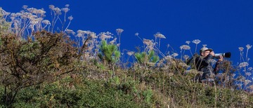 DSC_3260-LR_