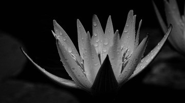 SDIM0161_LR_cb1920