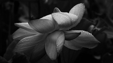SDIM0041_LR_cb1920