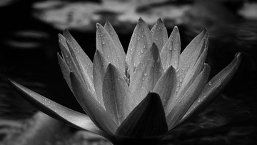 SDIM0146_LR_cb1920